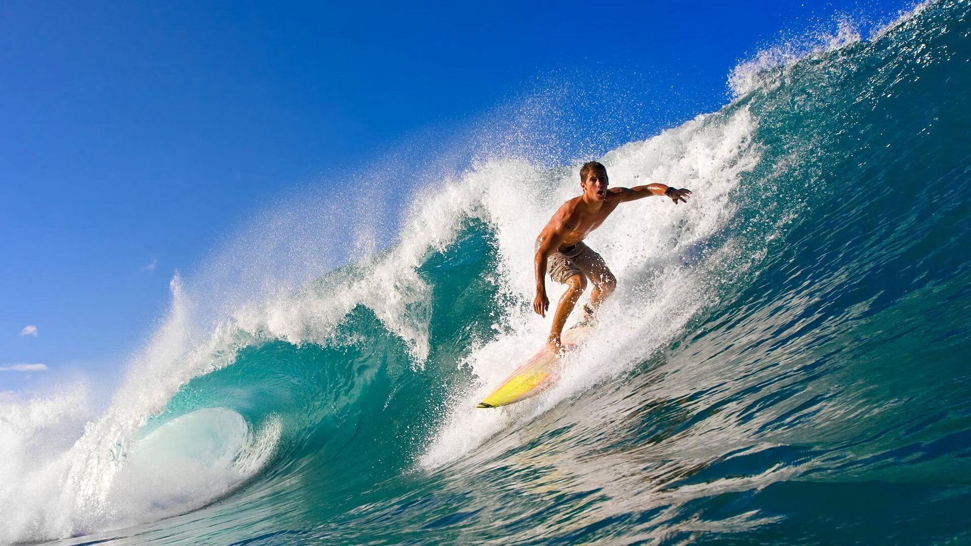 纪录之争：运动员刷新联盟与个人纪录的精彩瞬间，运动员的纪录片有哪些